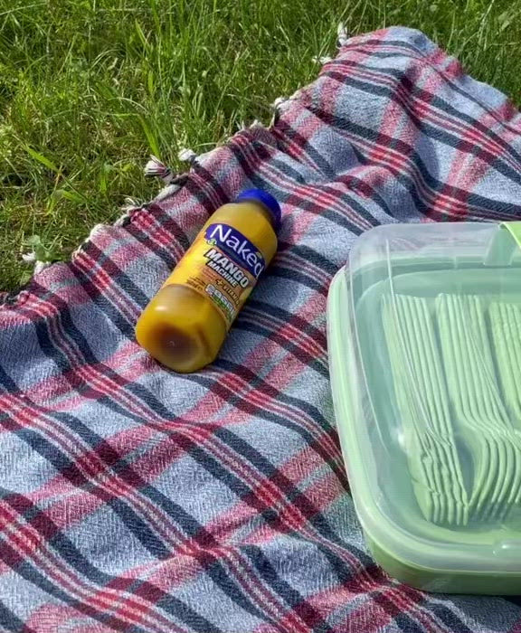 Camping Picnic Set for 6 - Plastic dinning set with utensils